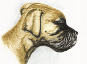 Margò