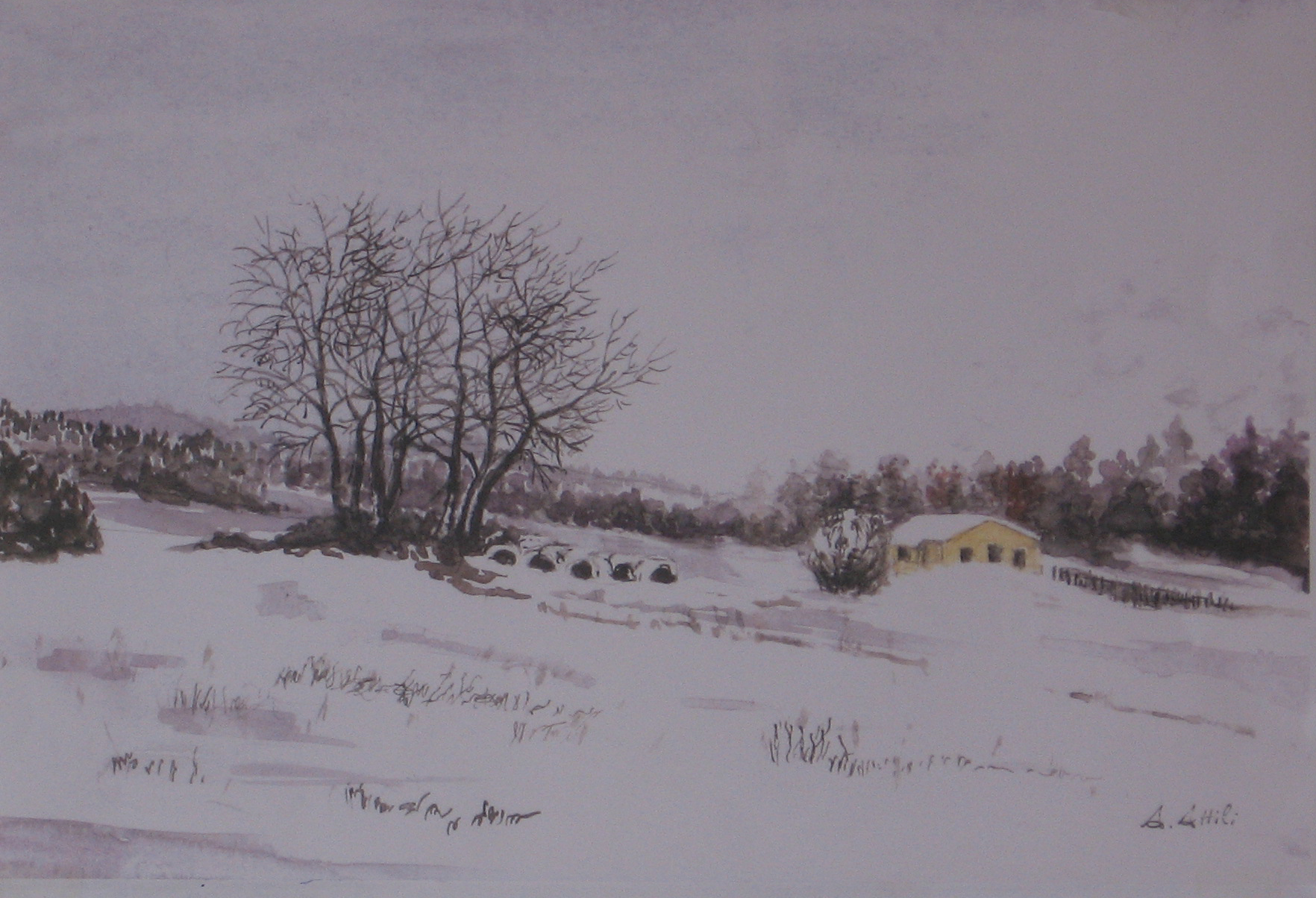 Storie di neve (1)
