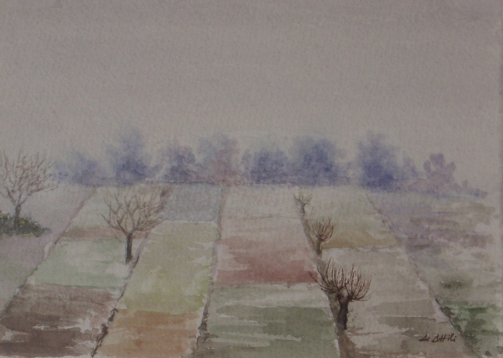 Colori d\'autunno (3)