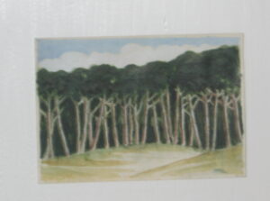 Pineta. Studio 390.
